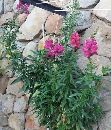 Soprana, Villetta Per Vacanze Prázdninový dům Lipari (Isola Lipari)